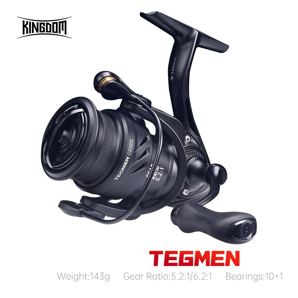 Kingdom Tegmen-Carretes de pes - Daiwa Reel Bg reseña y precio